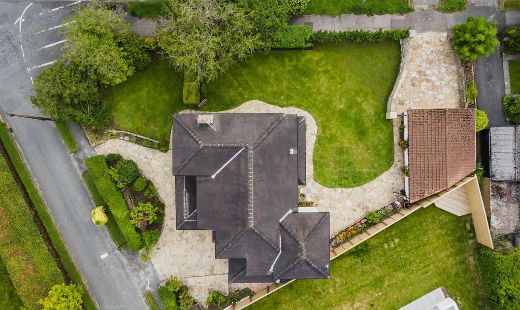Plot View
