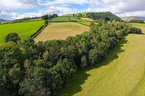 undefined, New Radnor, Presteigne, Powys, LD8