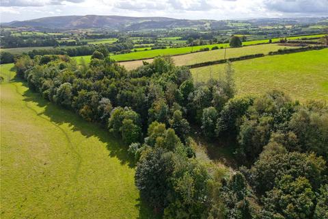 undefined, New Radnor, Presteigne, Powys, LD8