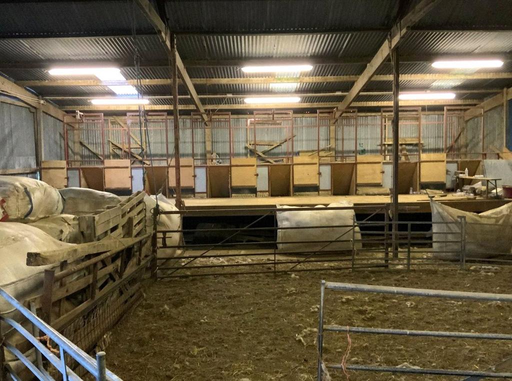 Sheep Shearing Barn