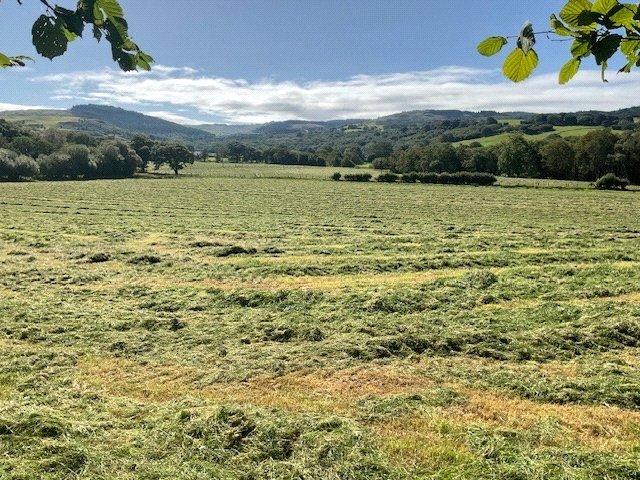The Land
