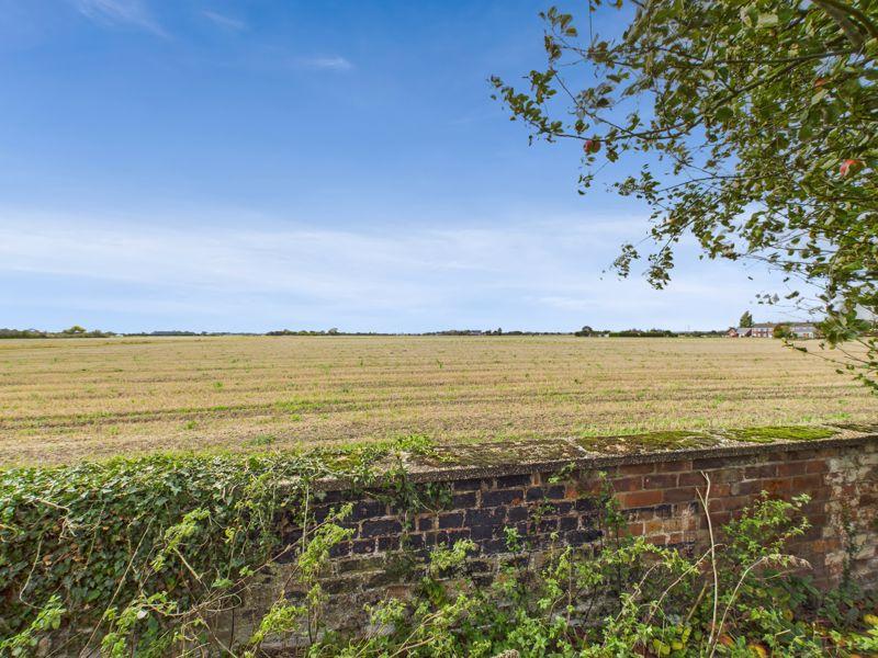 Open Field Views