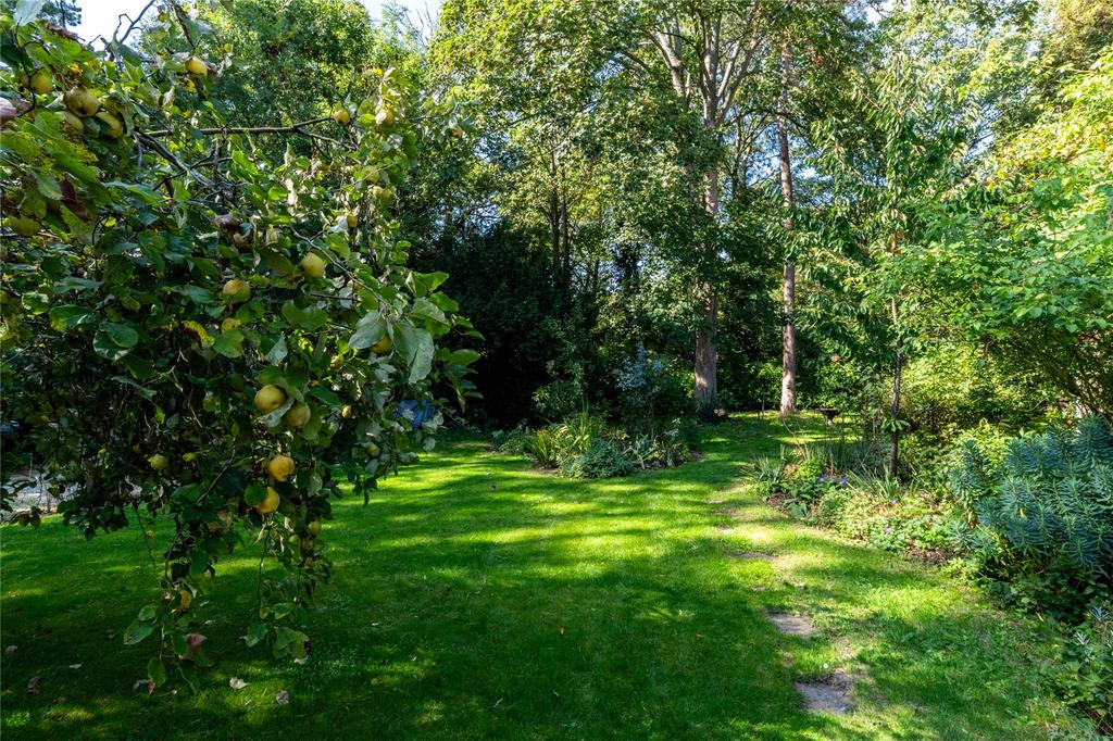 Grounds