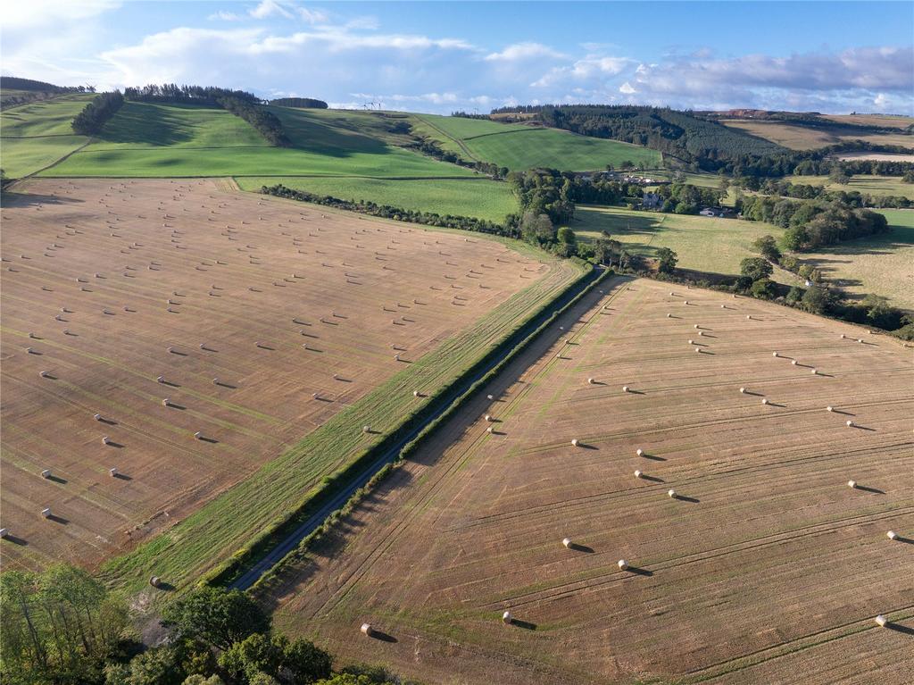 Fields 5 & 6