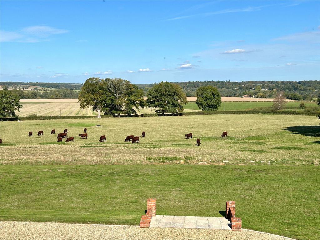 House View
