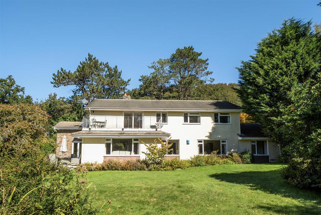 Rear Elevation