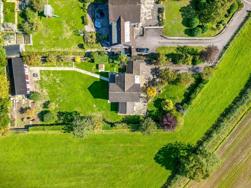 DJI 0040.jpg