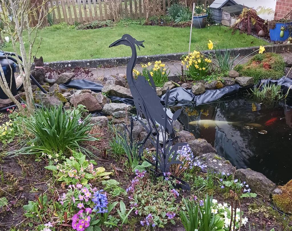 Pond