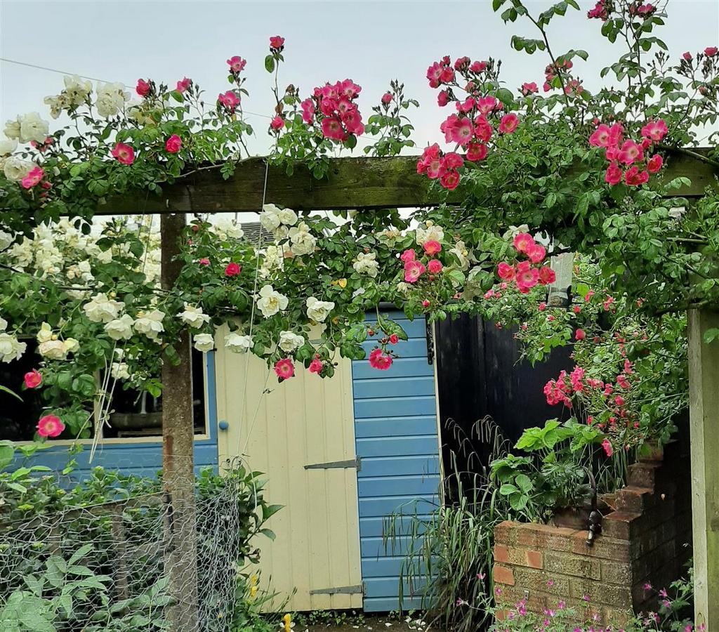 Pergola