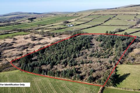 undefined, Cefn Eithin Wood, Maenclochog, Clynderwen