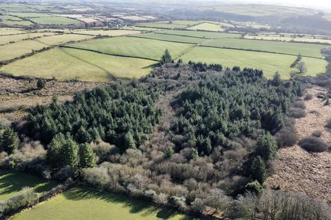 undefined, Cefn Eithin Wood, Maenclochog, Clynderwen