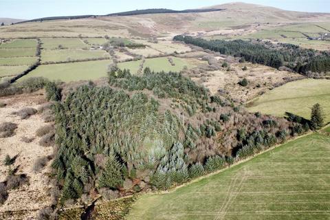 undefined, Cefn Eithin Wood, Maenclochog, Clynderwen