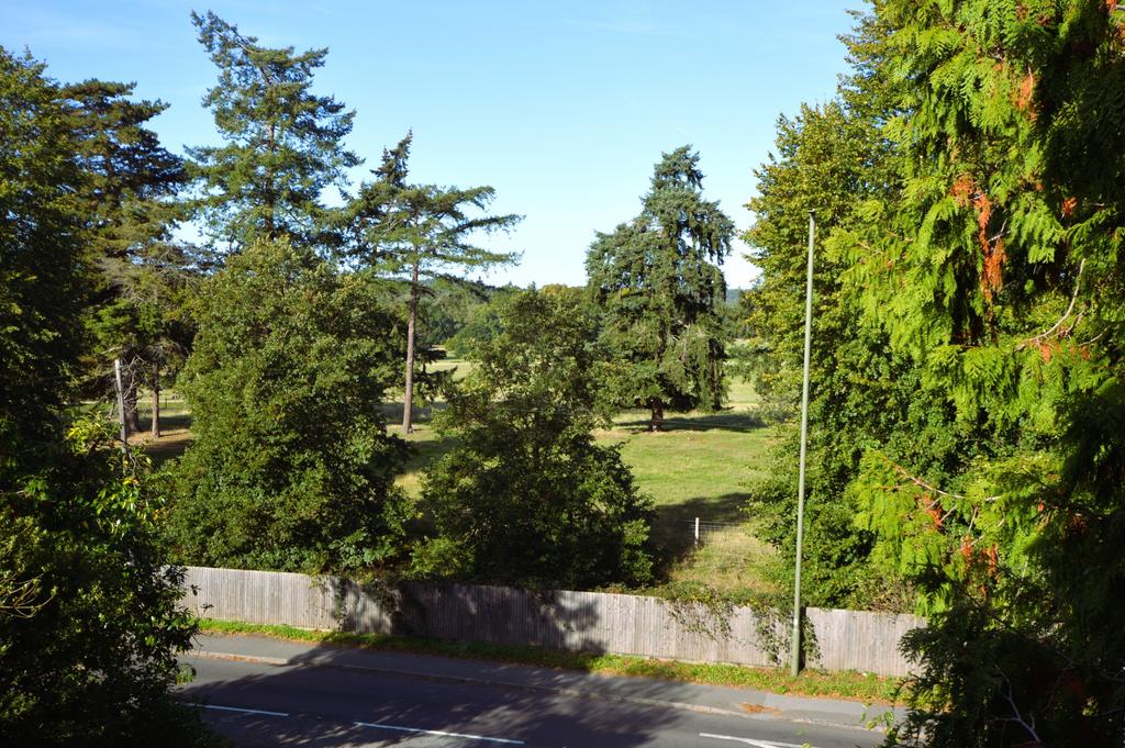 View over Bagshot Park