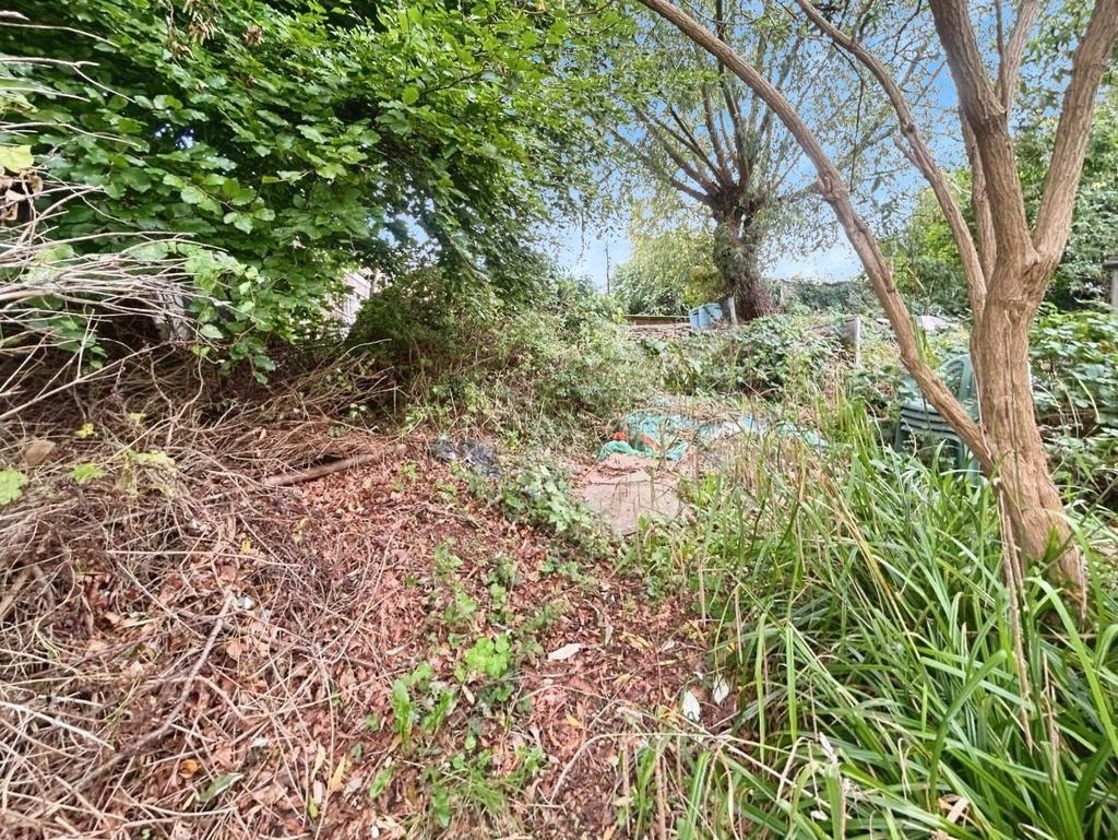 Pbox-garden-342203.jpg