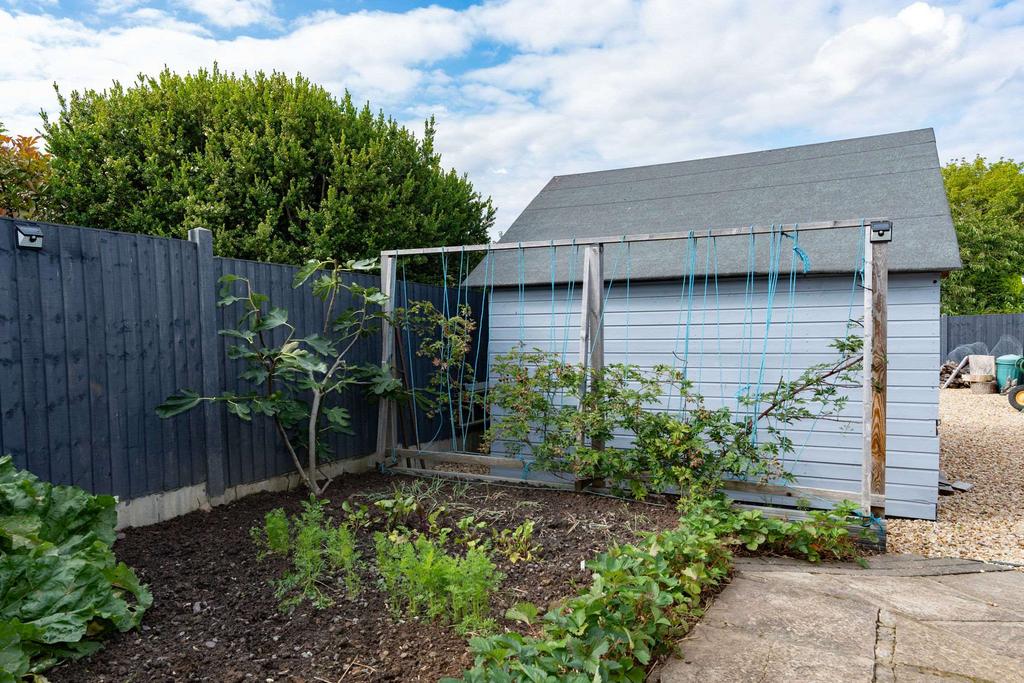 Garden at Back
