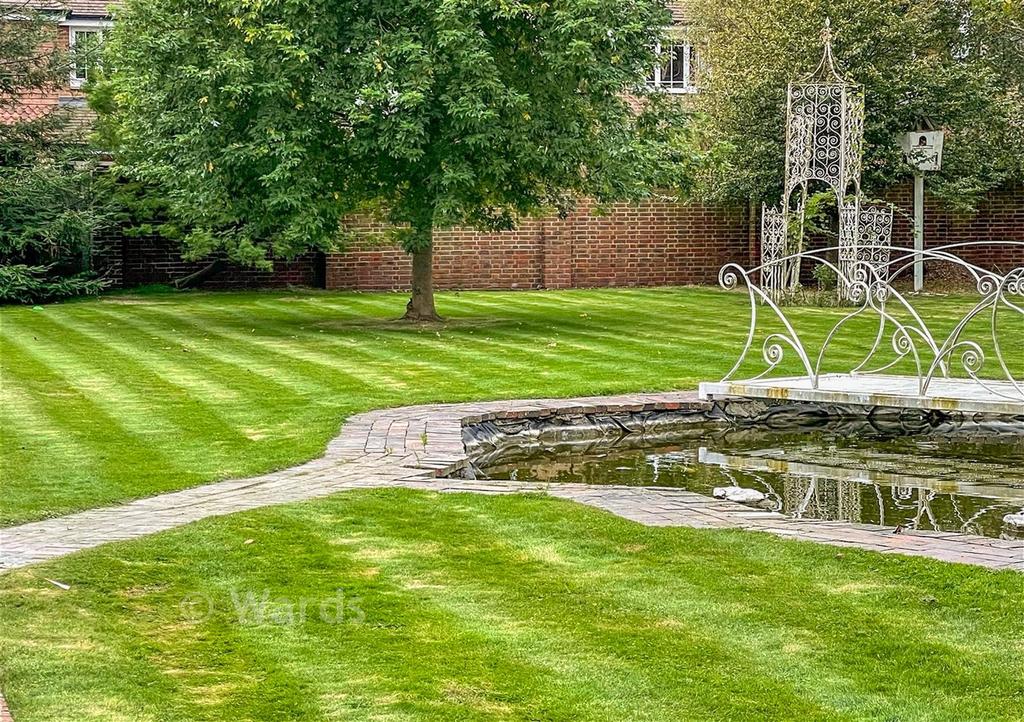 Pond & Lawn