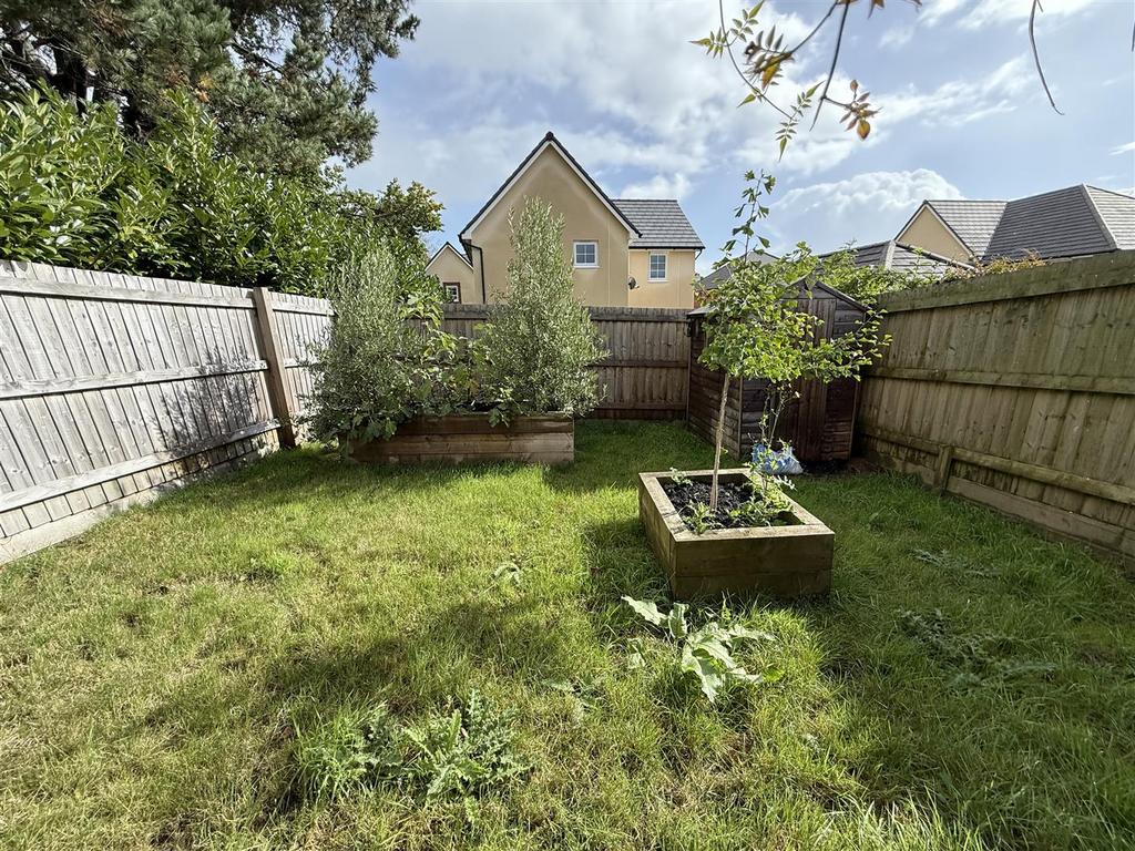 Lawn.JPG