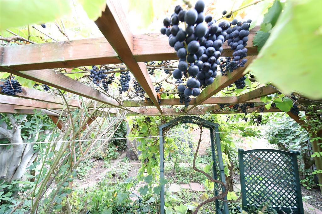 Garden 4.jpg