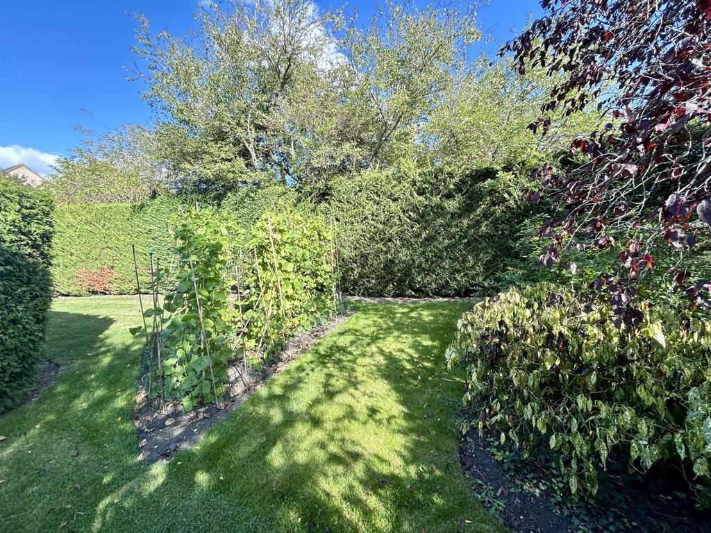 Garden 2