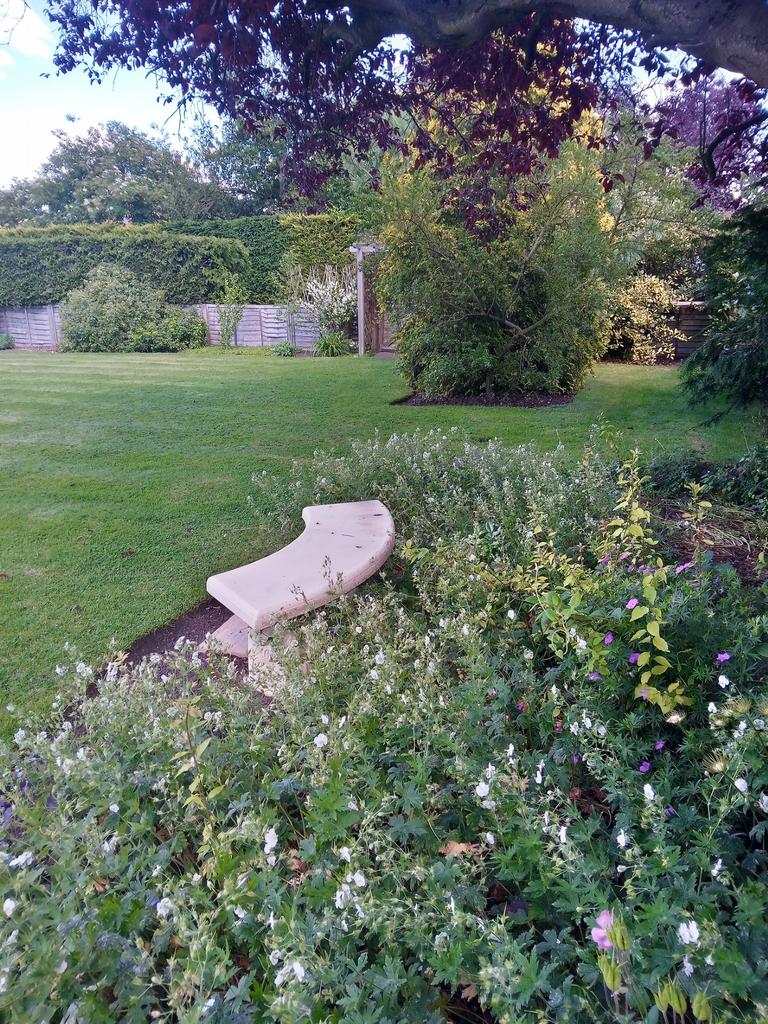 Garden 3