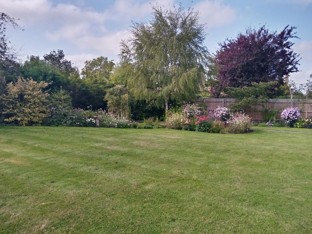 Garden 4