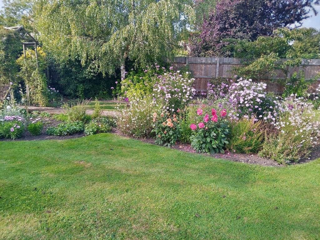 Garden 5