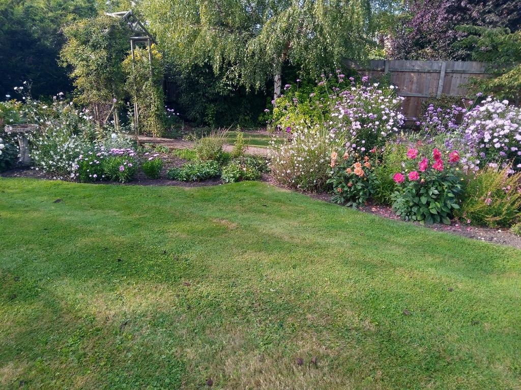 Garden 6