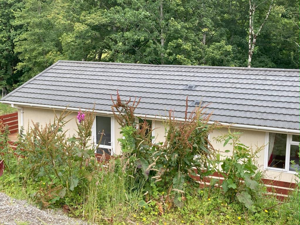 MFL4246267 386.jpg