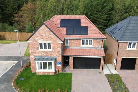 undefined, Crossthwaite Drive, Eaglescliffe
