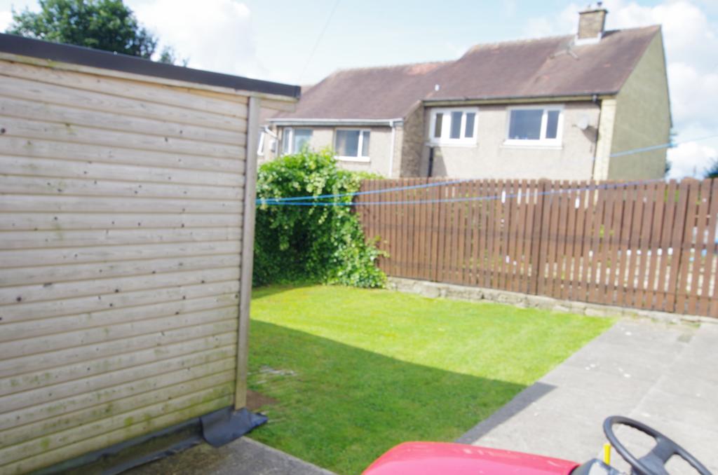 Back Garden