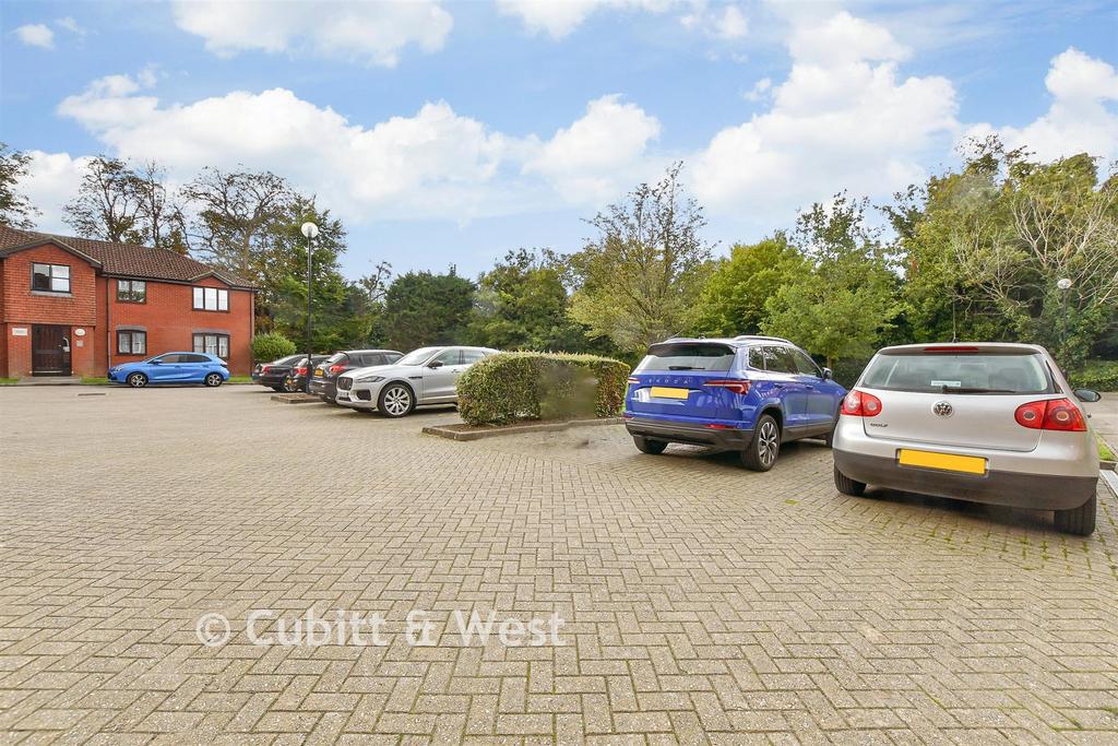 Driveway/Parking