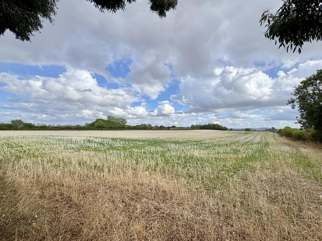 Fields Wainhouse