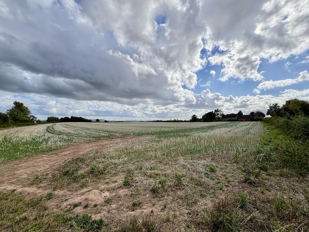Field Wainhouse