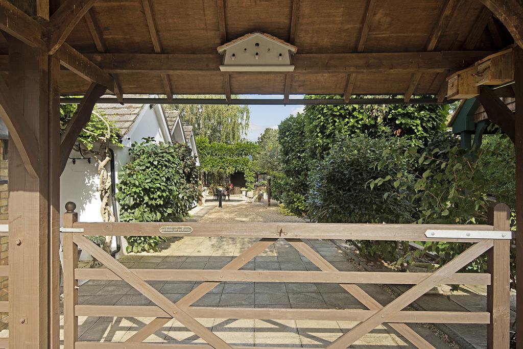 Picture 31