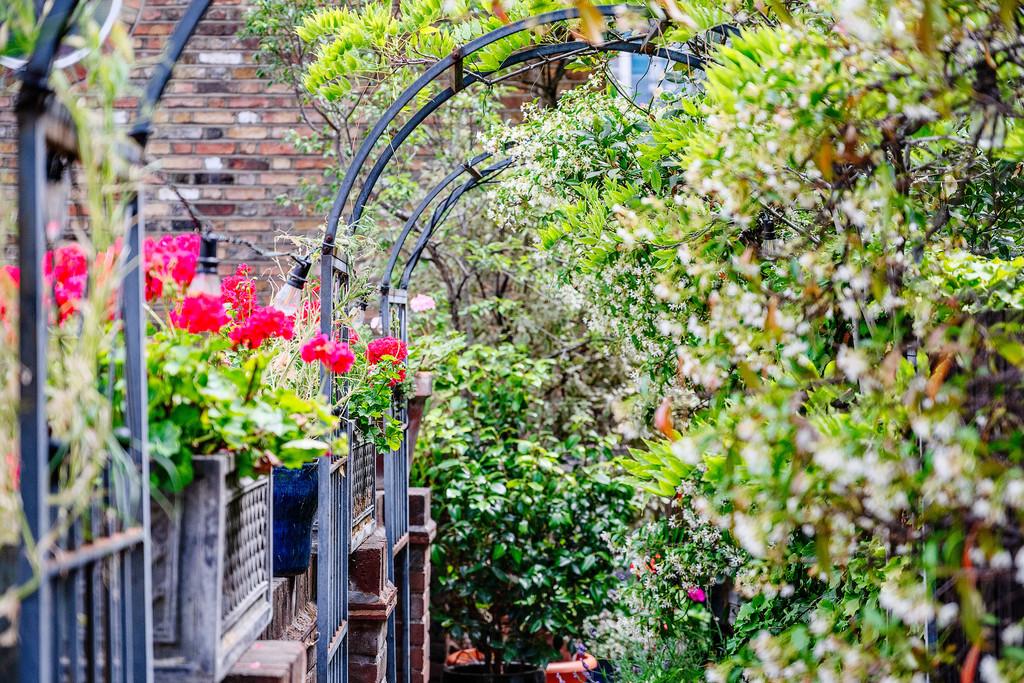Neal Street 31
