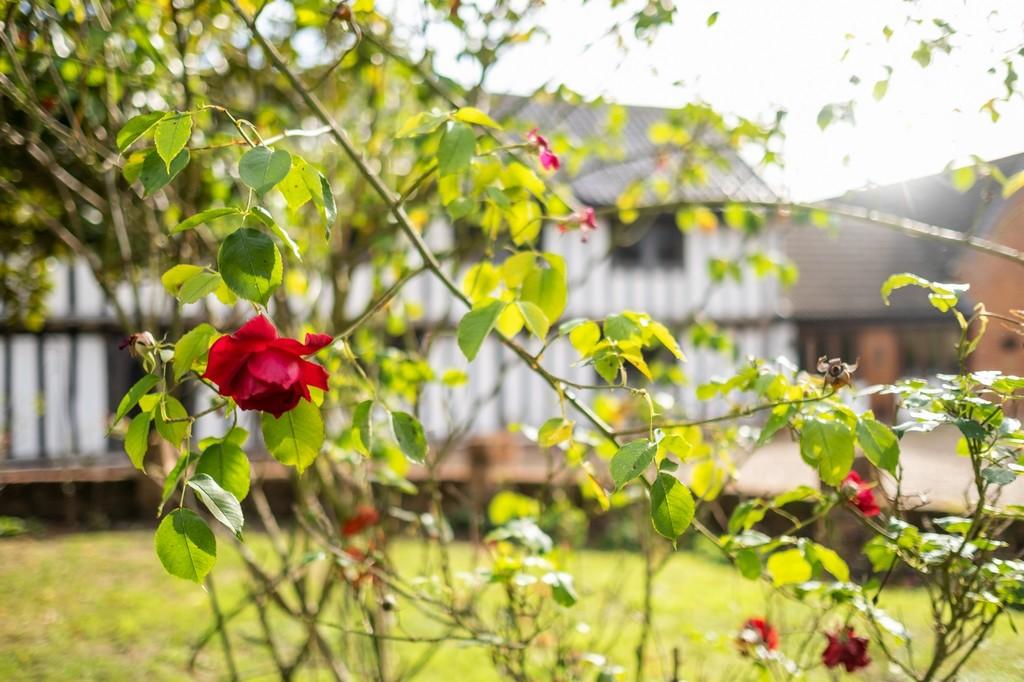 HHHastings Hall-59