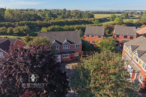 undefined, Stone ST15