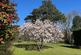 Additional image 30 of Limes Lane, Buxted, Uckfield, East Sussex, TN22