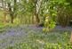 Additional image 31 of Limes Lane, Buxted, Uckfield, East Sussex, TN22