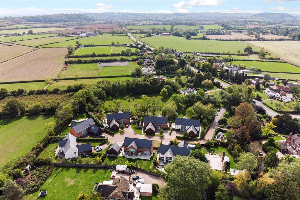 Aerial Shot