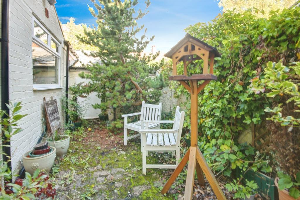 Rear Yard