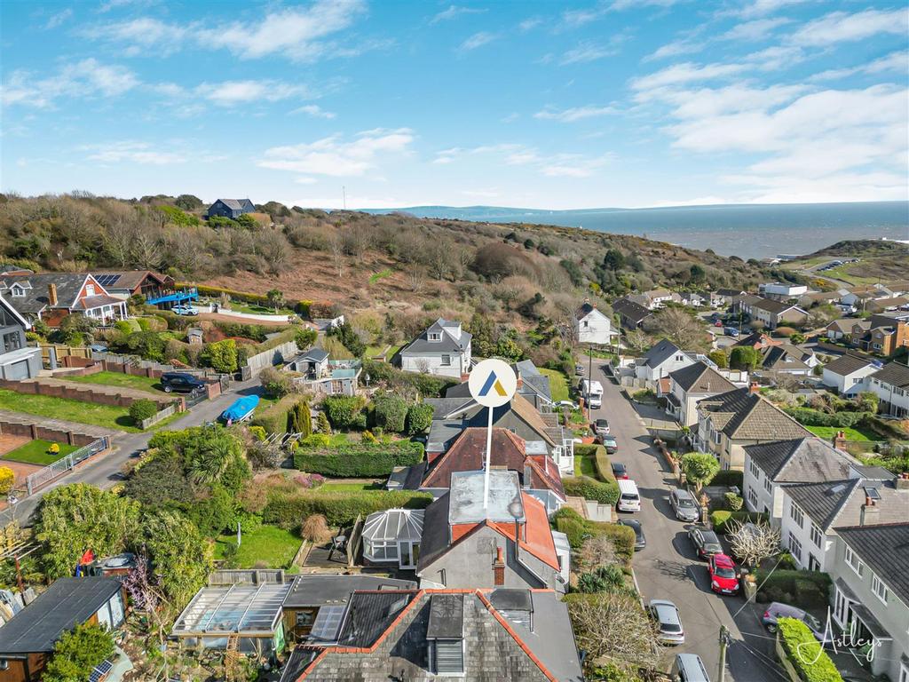 Untitled design (39).png