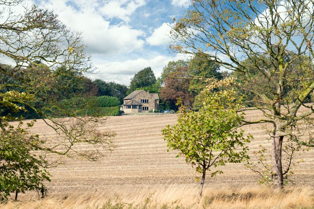 External