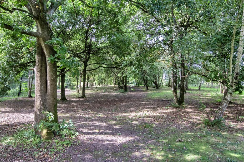 Woodland