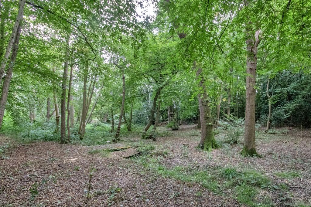 Woodland