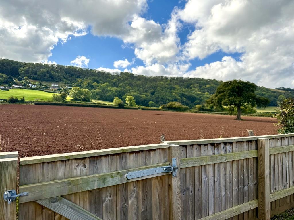 View from Garden