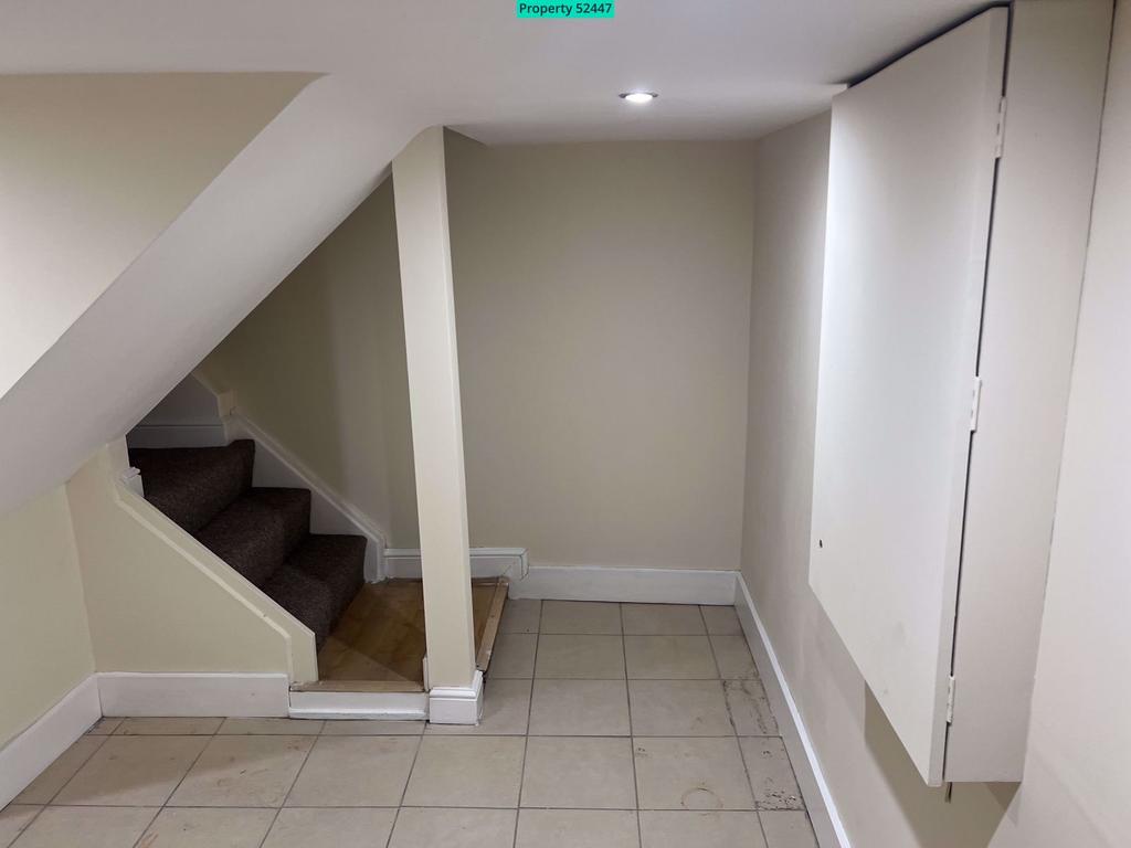 Cellar, Stairs down and Electric Cuboard