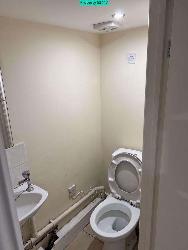 Cellar Bathroom