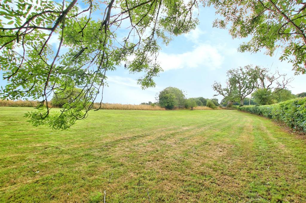Top Paddock
