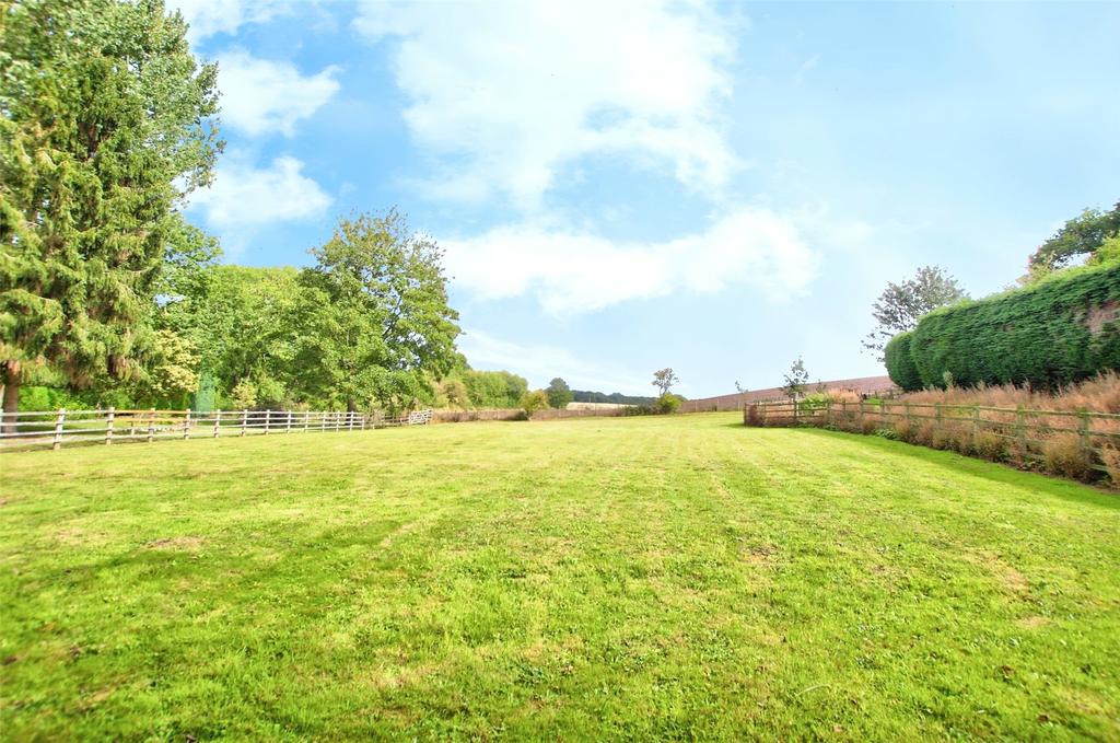 Bottom Paddock